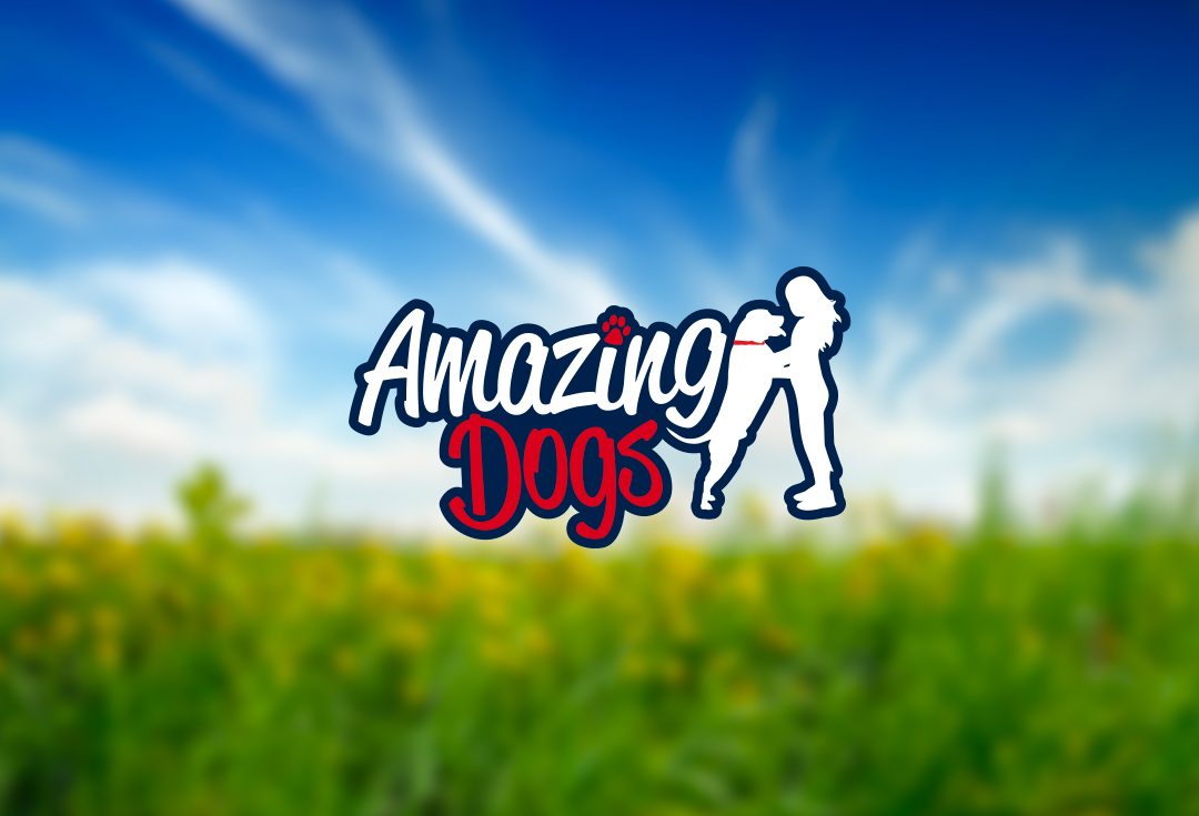 Amazing Dogs