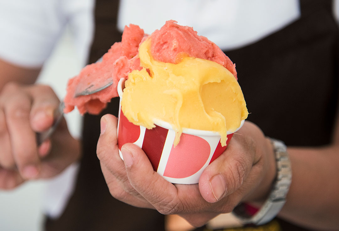 Dri Dri Gelato