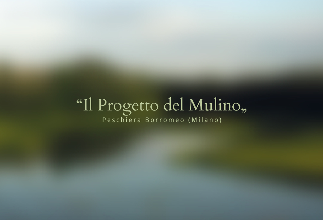 Il Progetto del Mulino